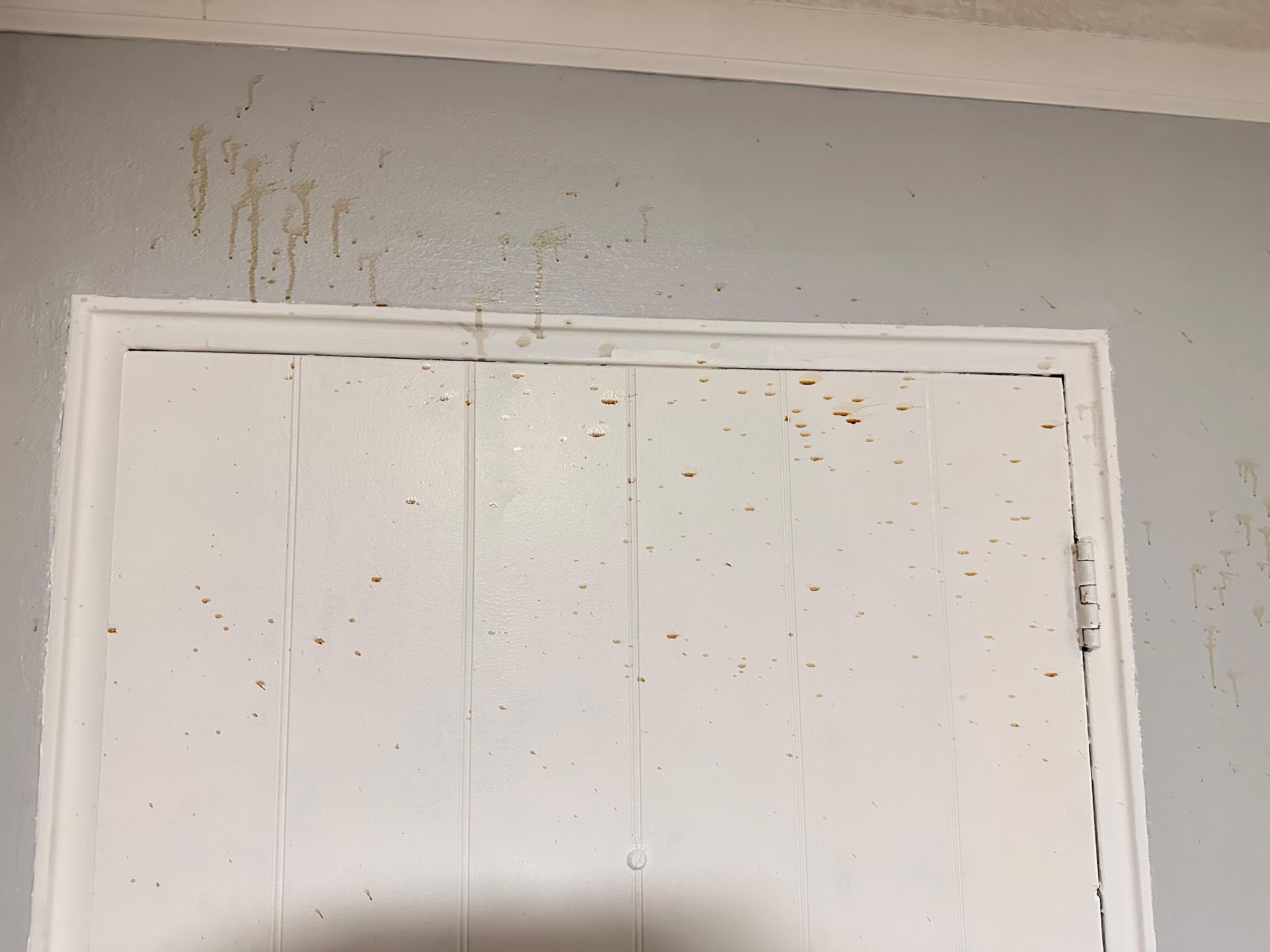 Drinks sprayed against the door 