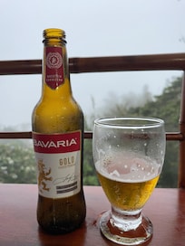 Cloud forest view at the bar