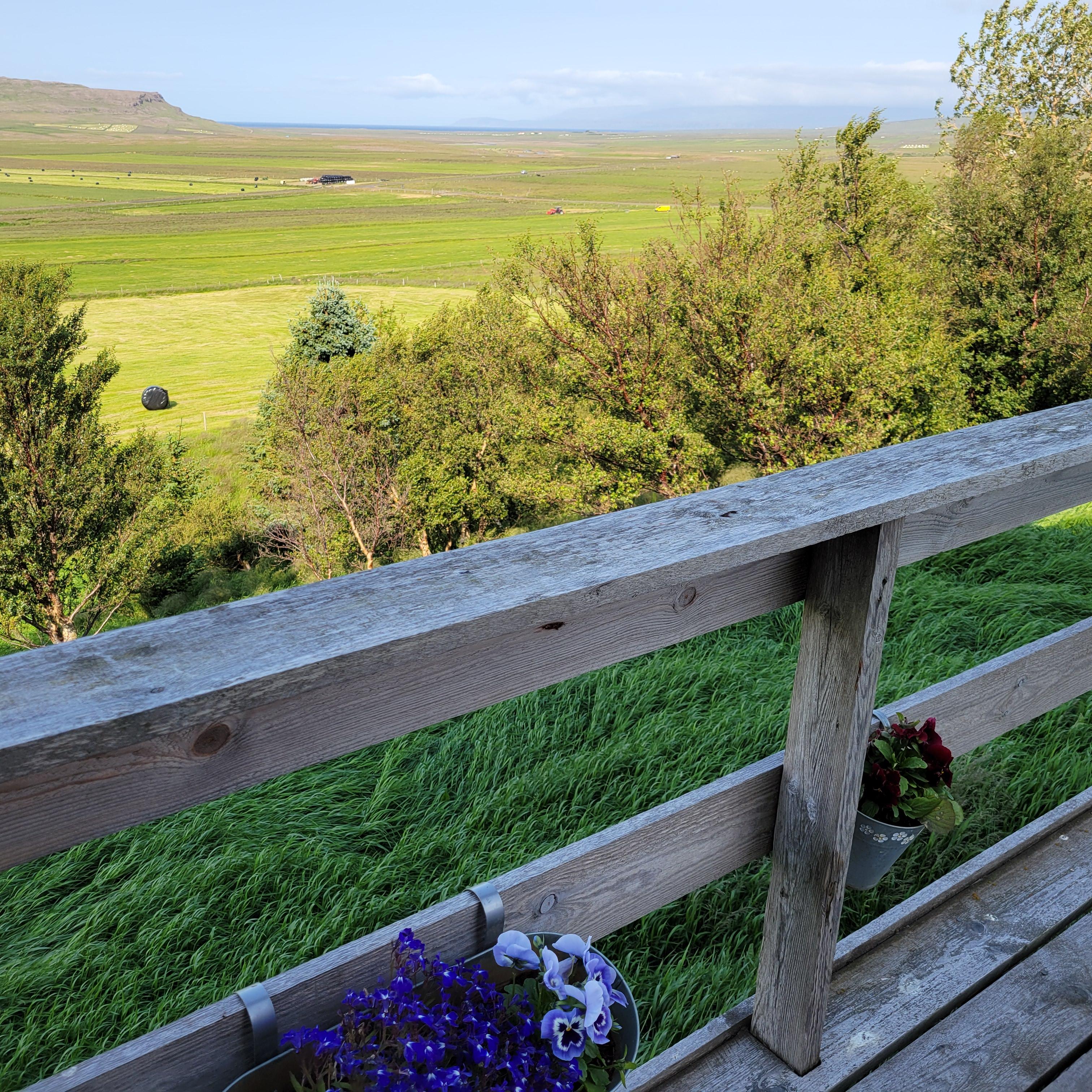 View from the porch