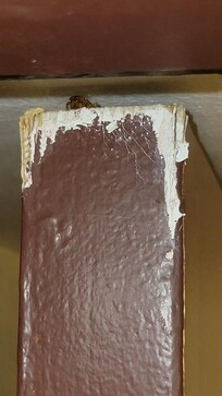 Tropical Palms Hotel
Clearwater Florida
Dec 30, 2022