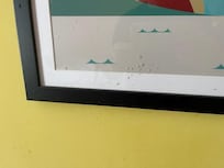 Something up the walls