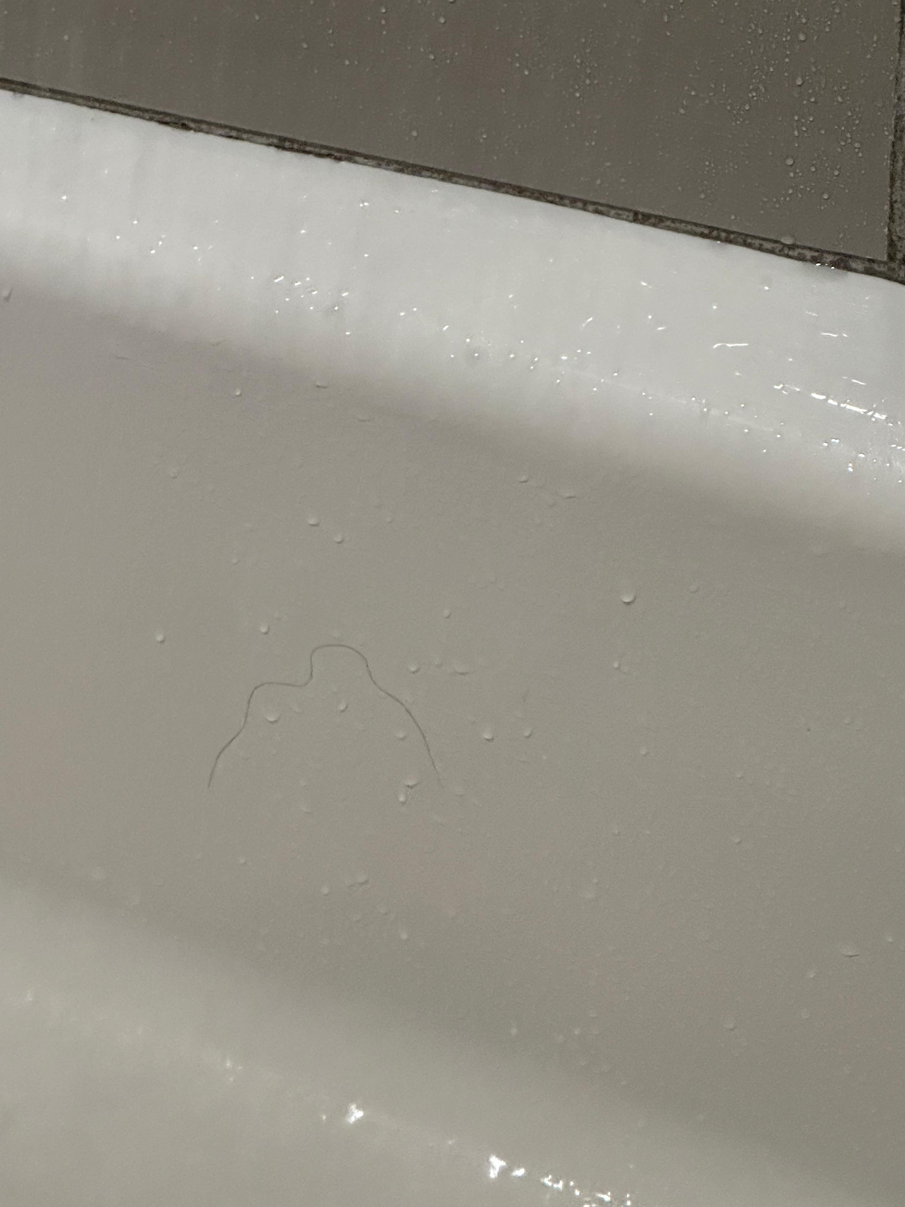 Hair in shower