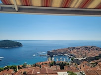 The view