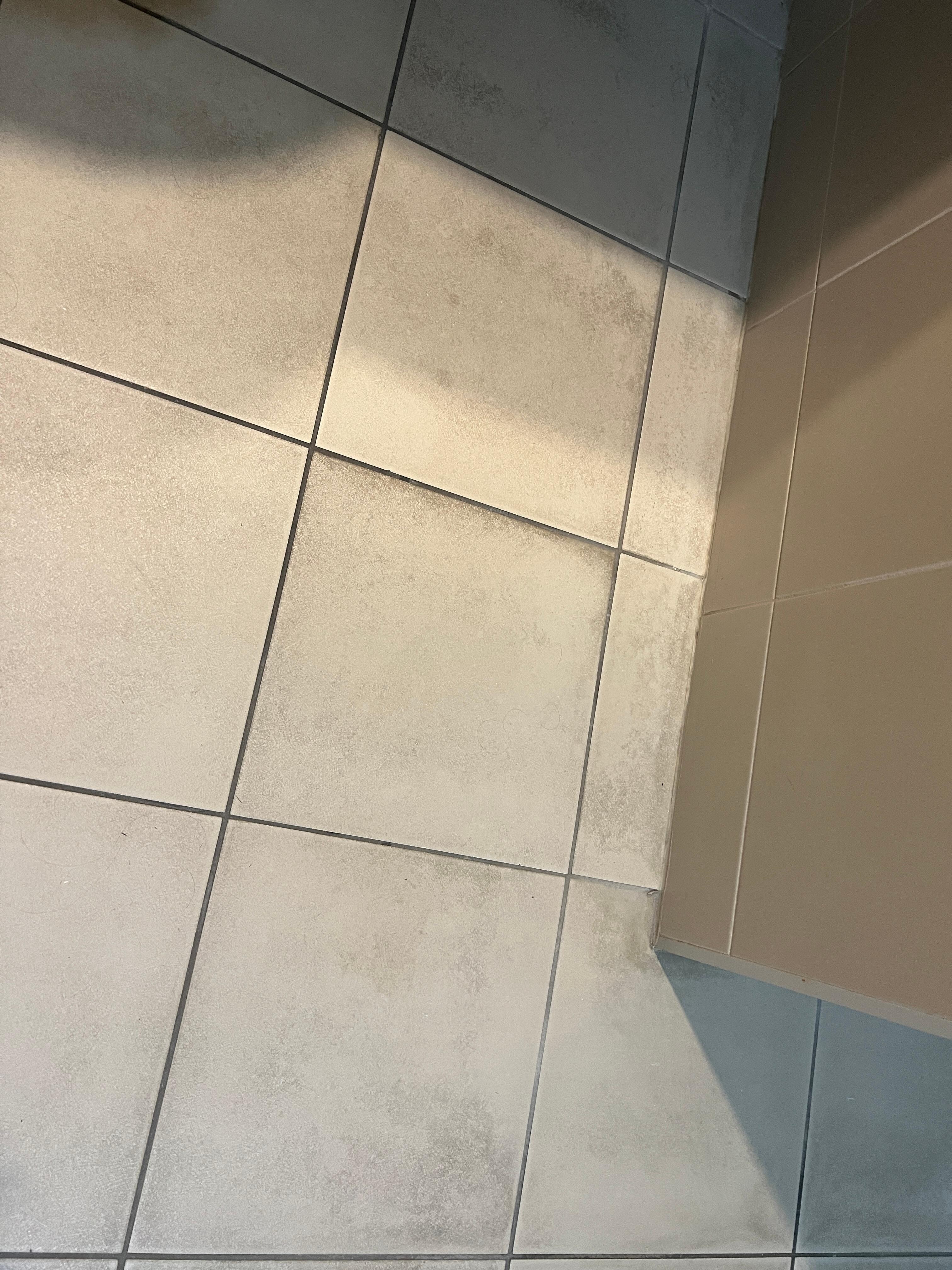 Same area all dirt eaten in