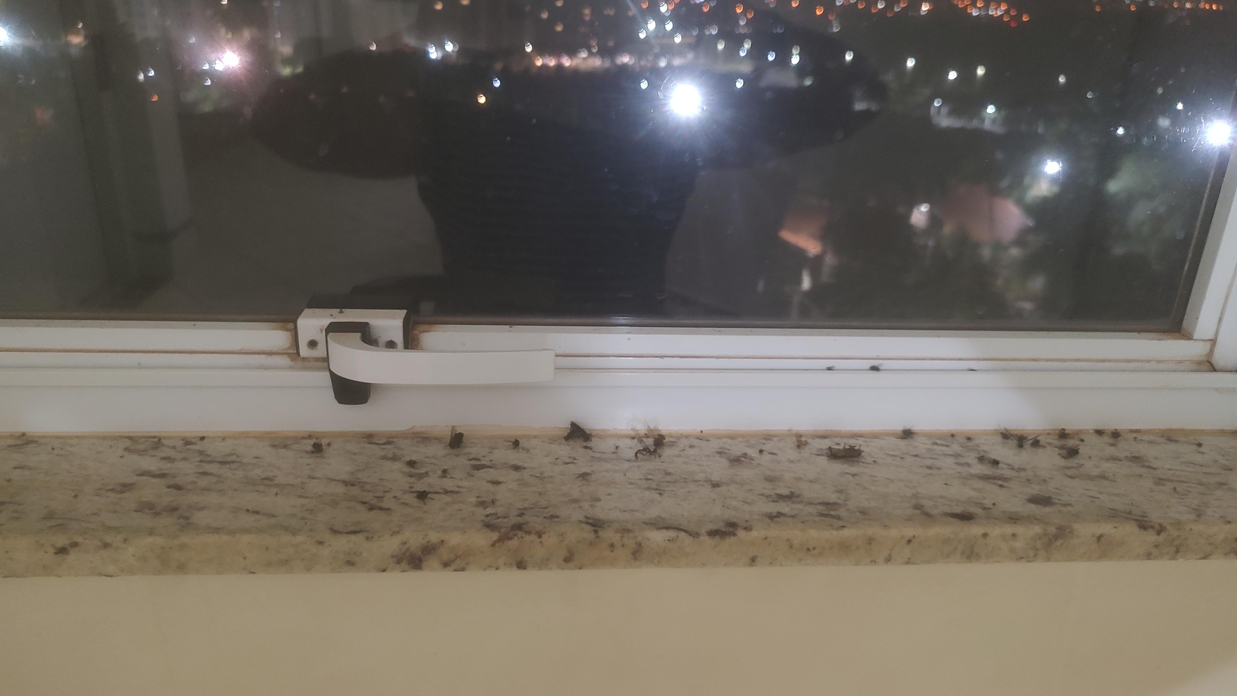 durante os quatro dias de nossa estada esta janela ficou suja com insetos mortos no corredor de acesso ao nosso quarto