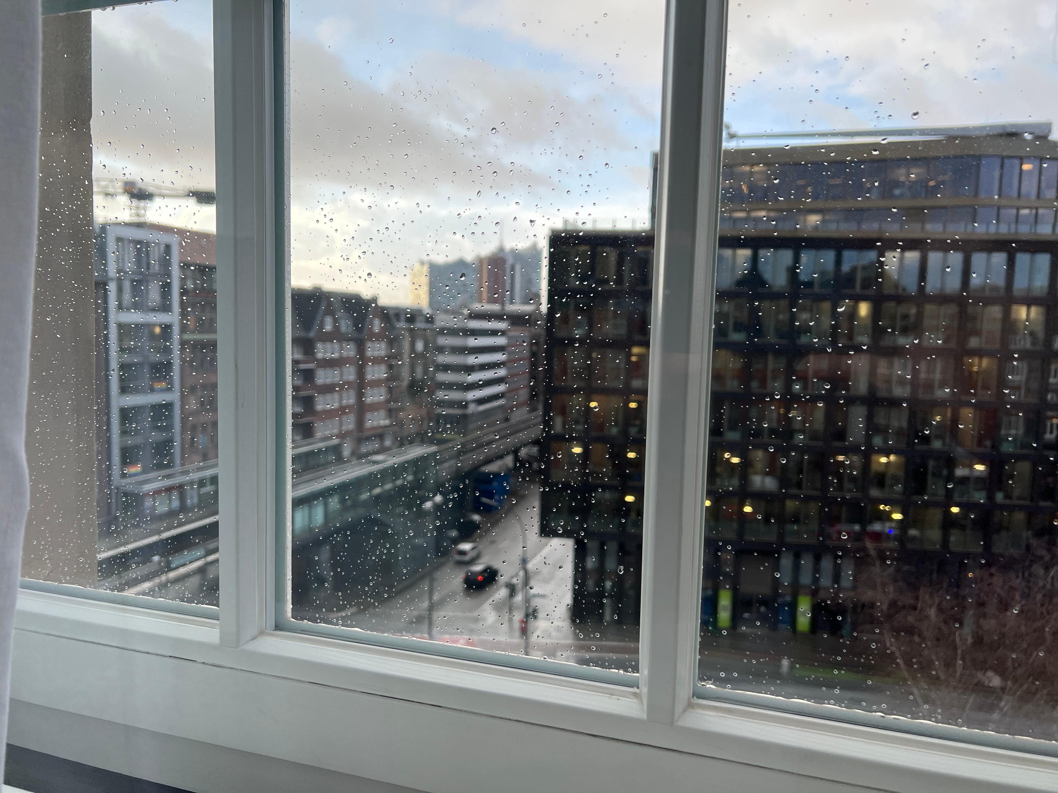 Blick auf die Elphie