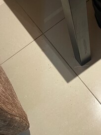 Tobacco on the floor