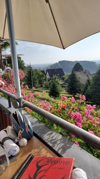 View from hotel resturant