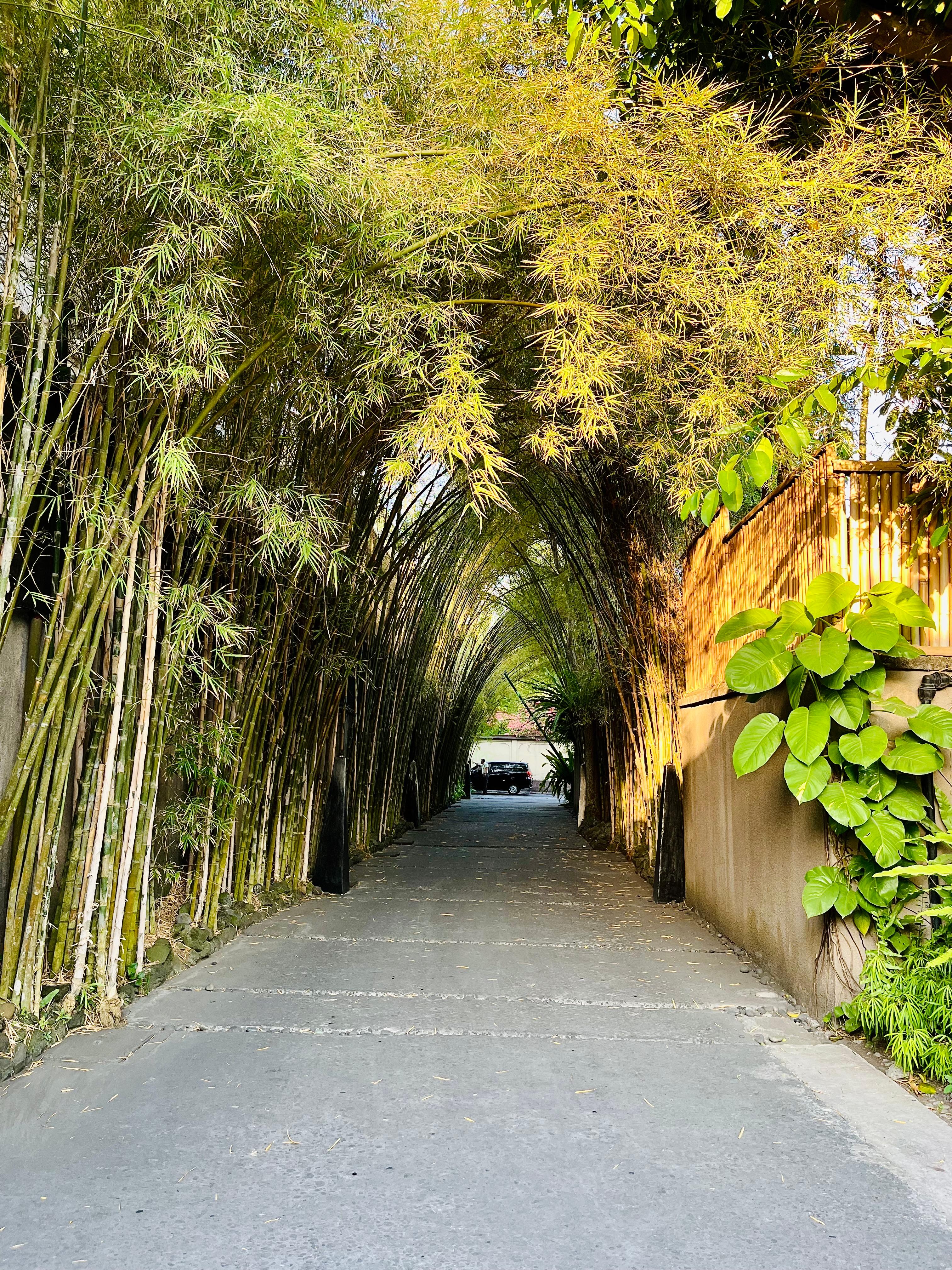 Entrance of resort 