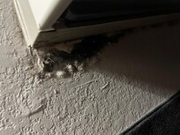 Mold under the AC unit
