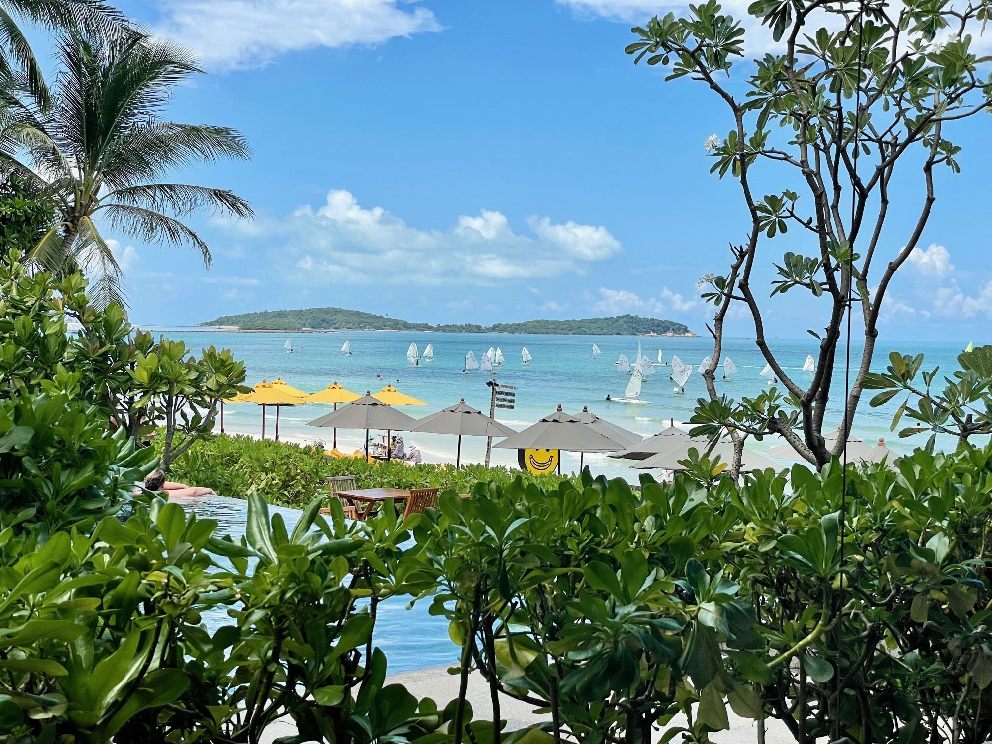 Vue de la piscine et de la plage