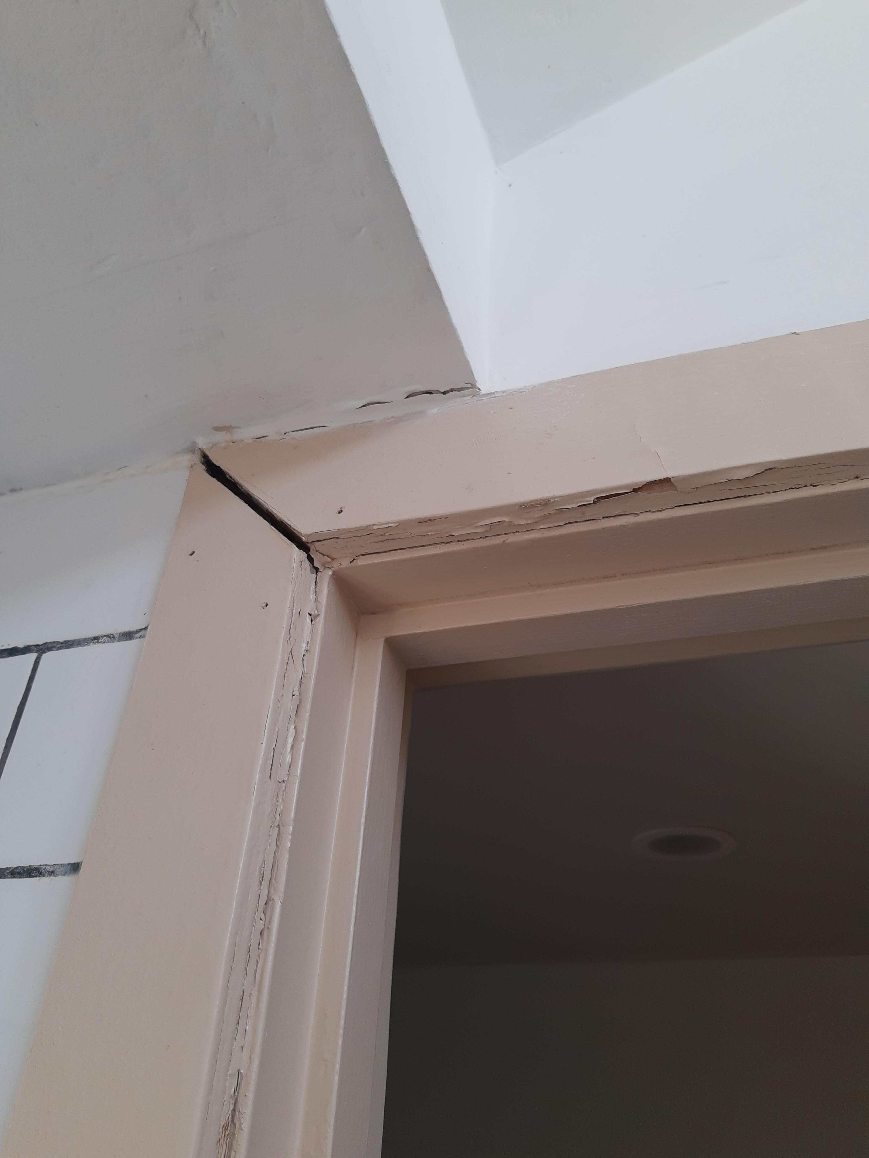 Wet rot in bathroom