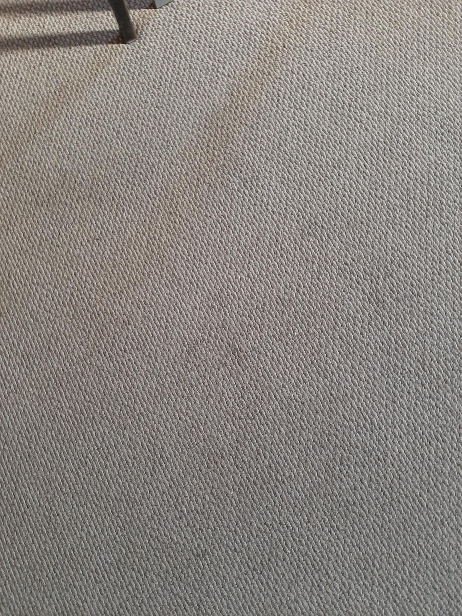 carpet stain b/room