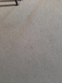 carpet stain b/room