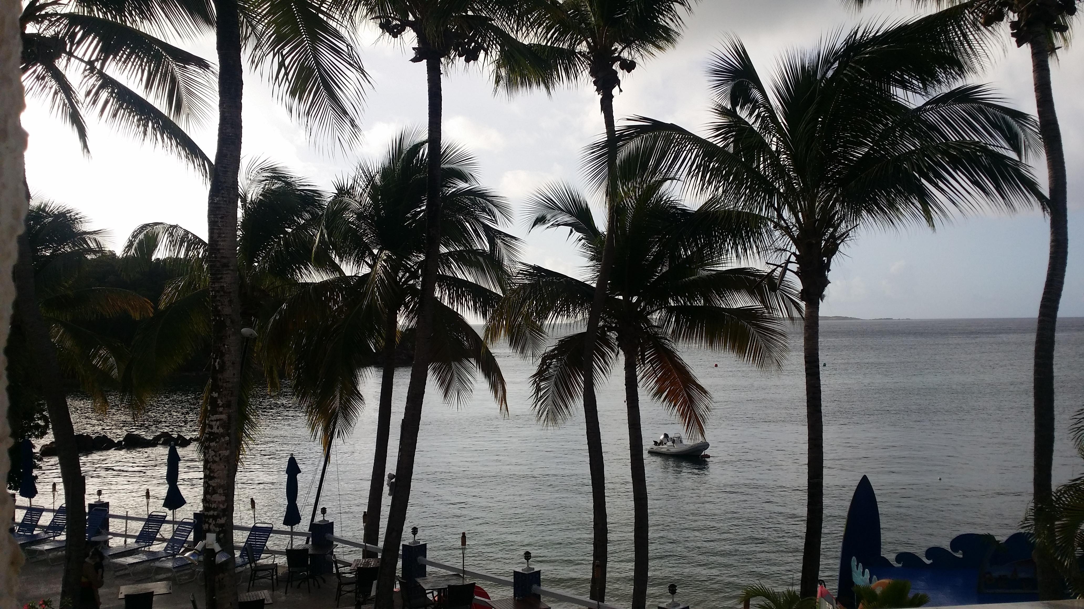 ROOM VIEW