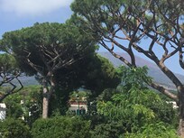 Udsigt fra værelset