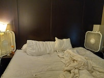 Fans in the room! Because air-conditioning system is broken.