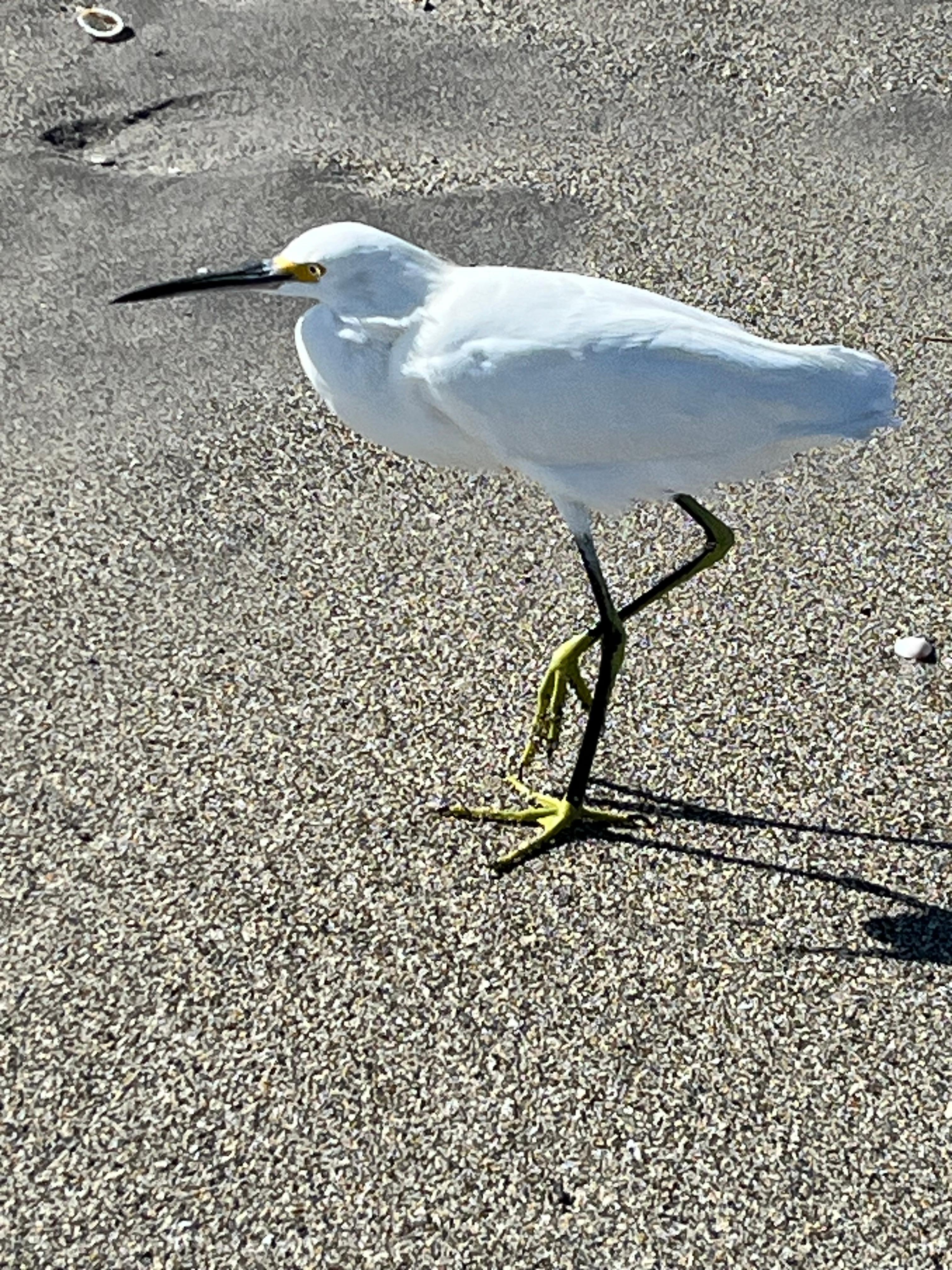 Oh, the beaches!