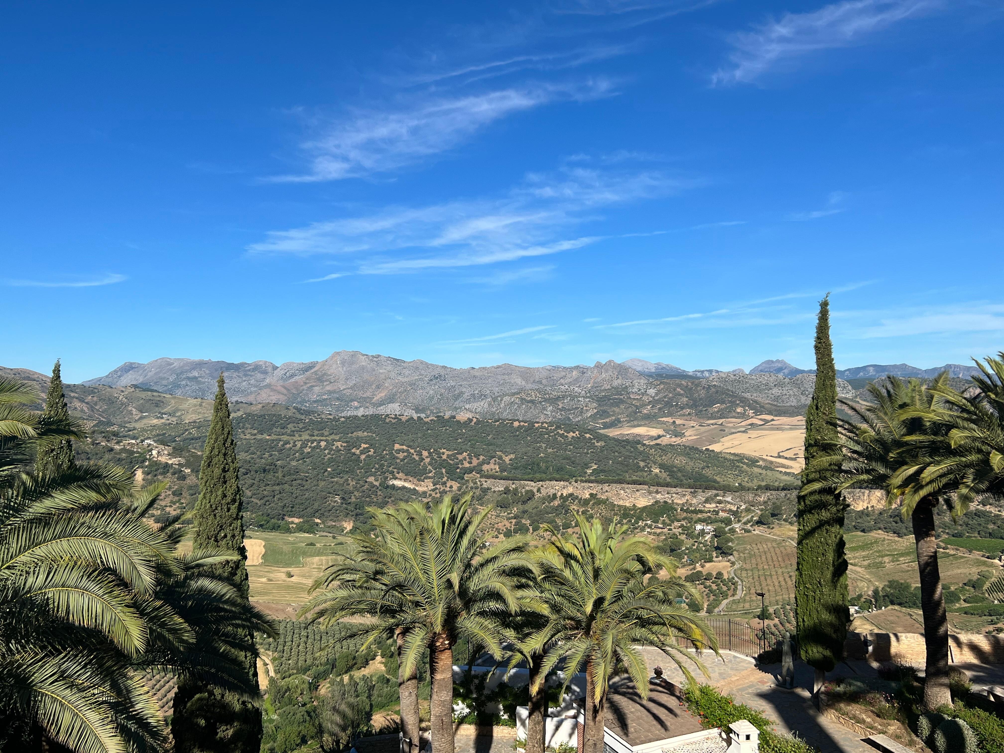 View from room
