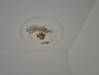 Ceiling damp