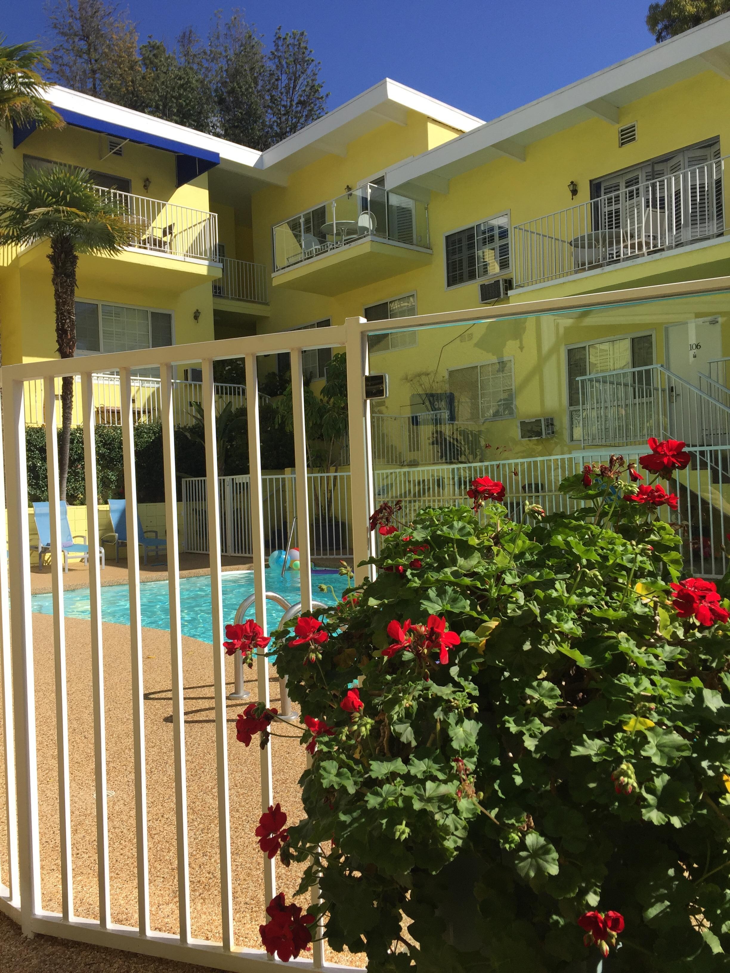 Pool in the day
