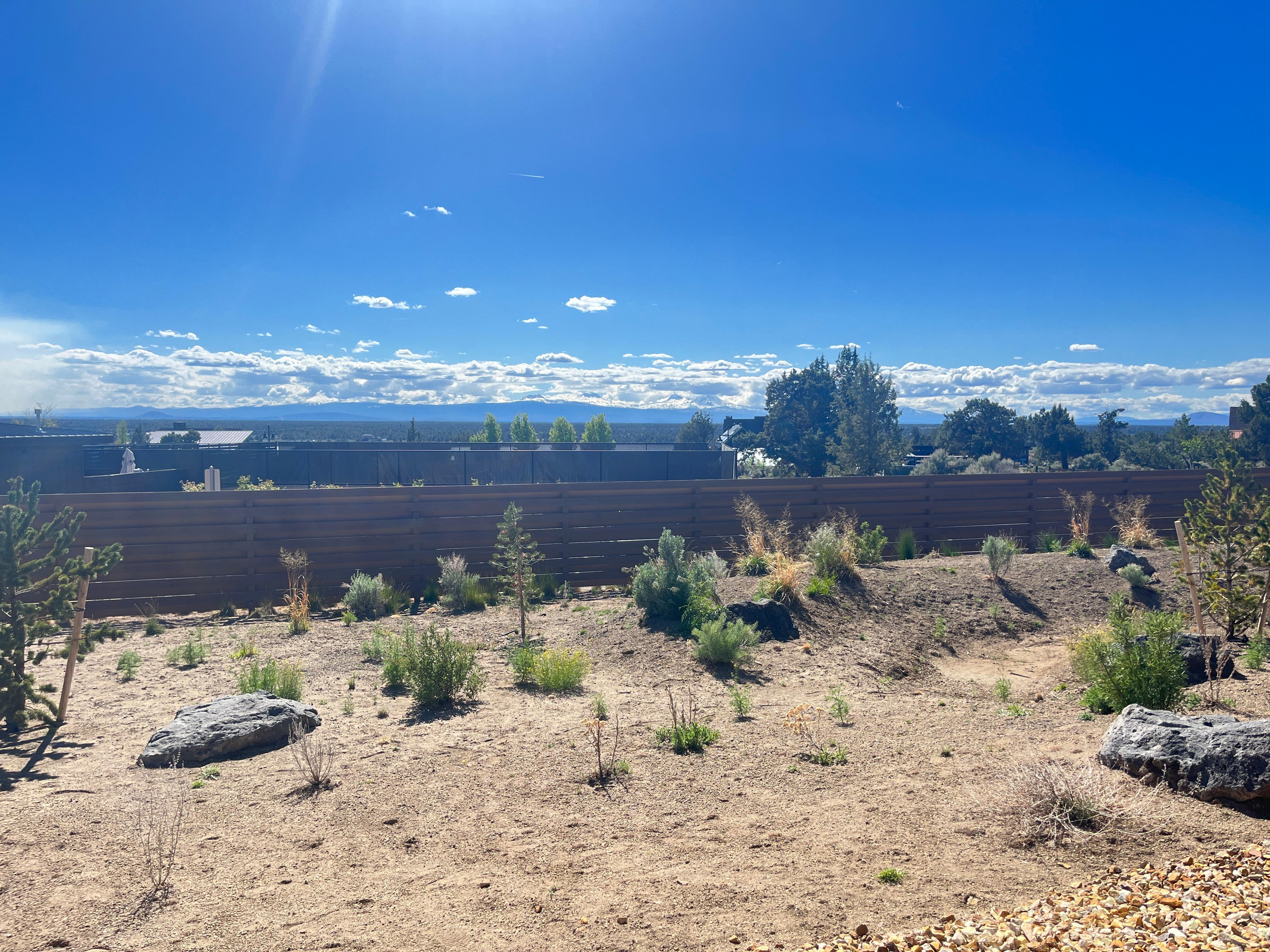 view from patio