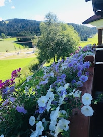 Different view from the balcony.