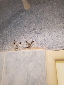 rotting shower wall