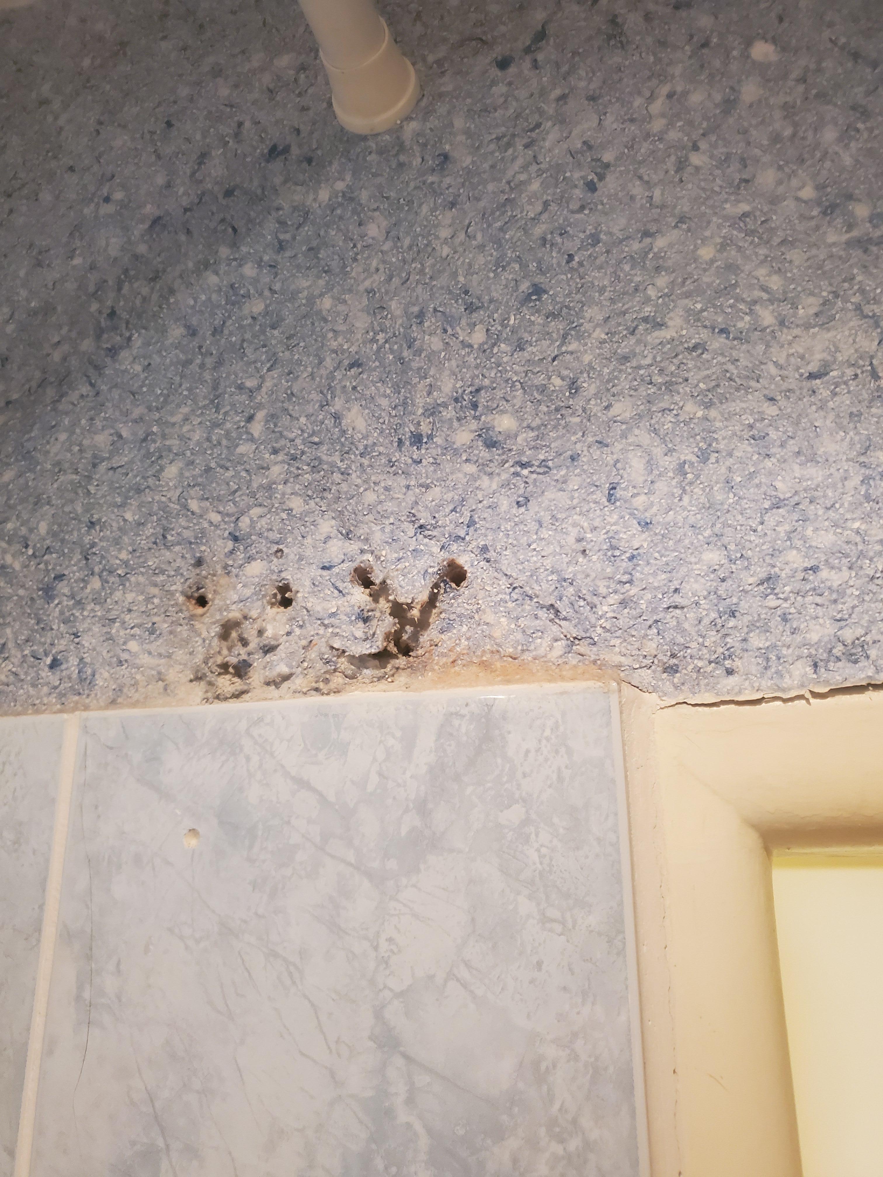 rotting shower wall