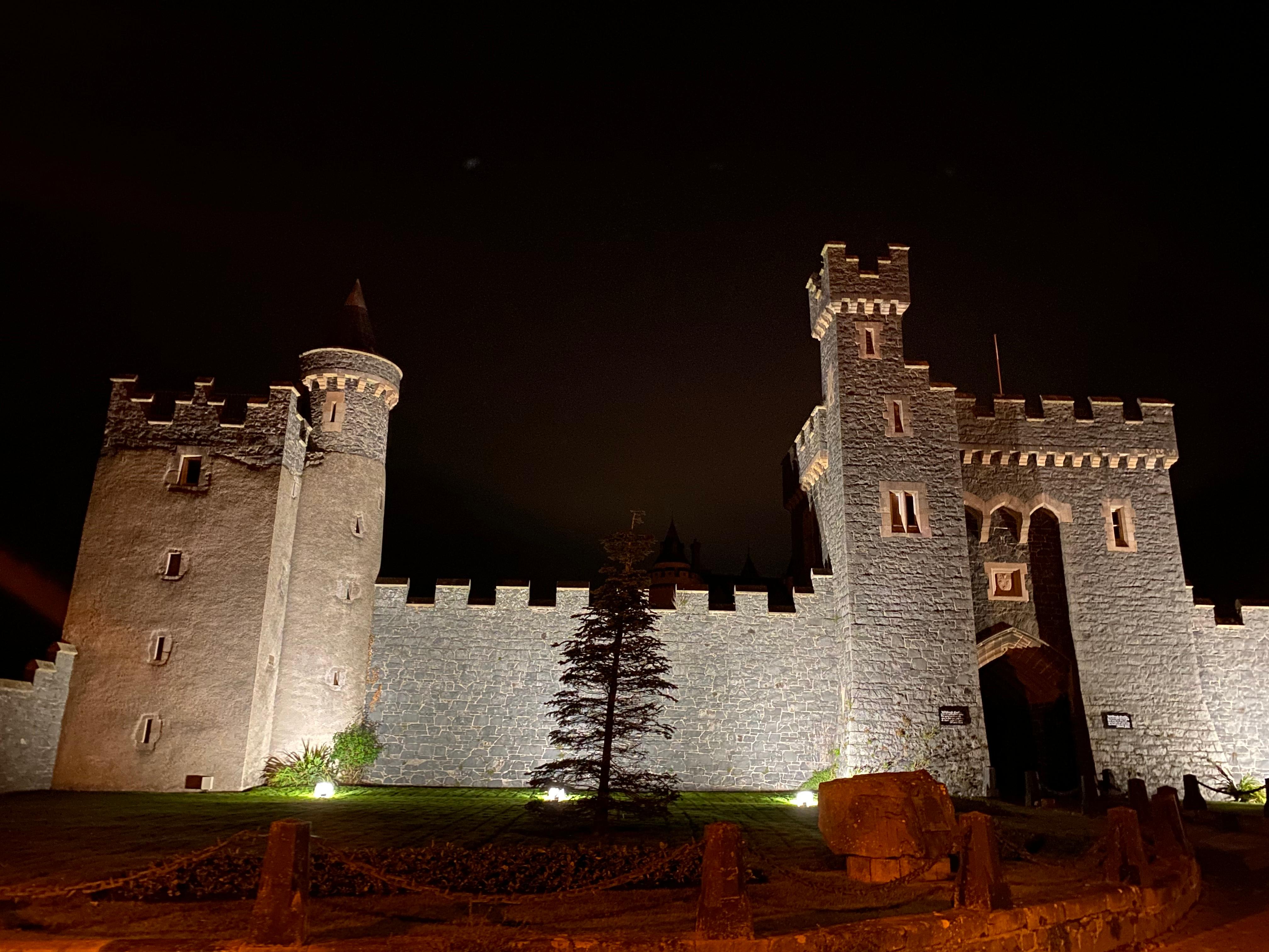 Killyleagh Castle 