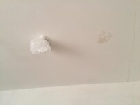 Covered smoke alarm