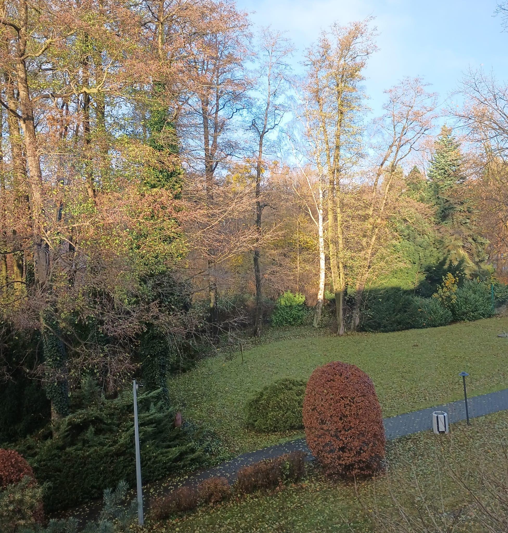 The park around the hotel 