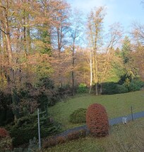 The park around the hotel