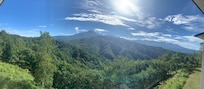 View from the room