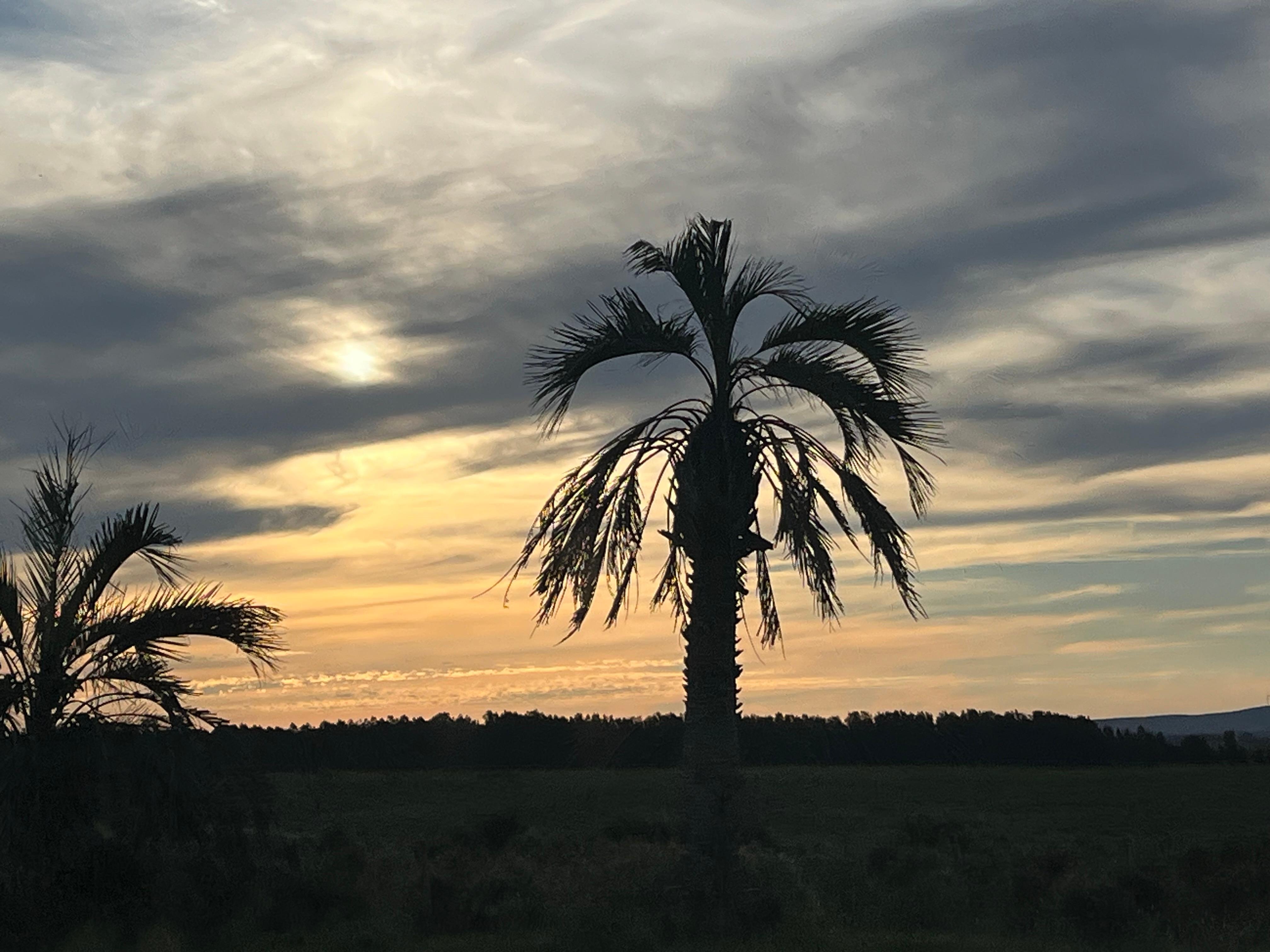 Área externa espetacular bom jardins e piscinas 