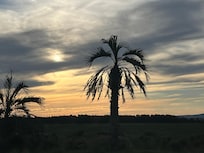Área externa espetacular bom jardins e piscinas