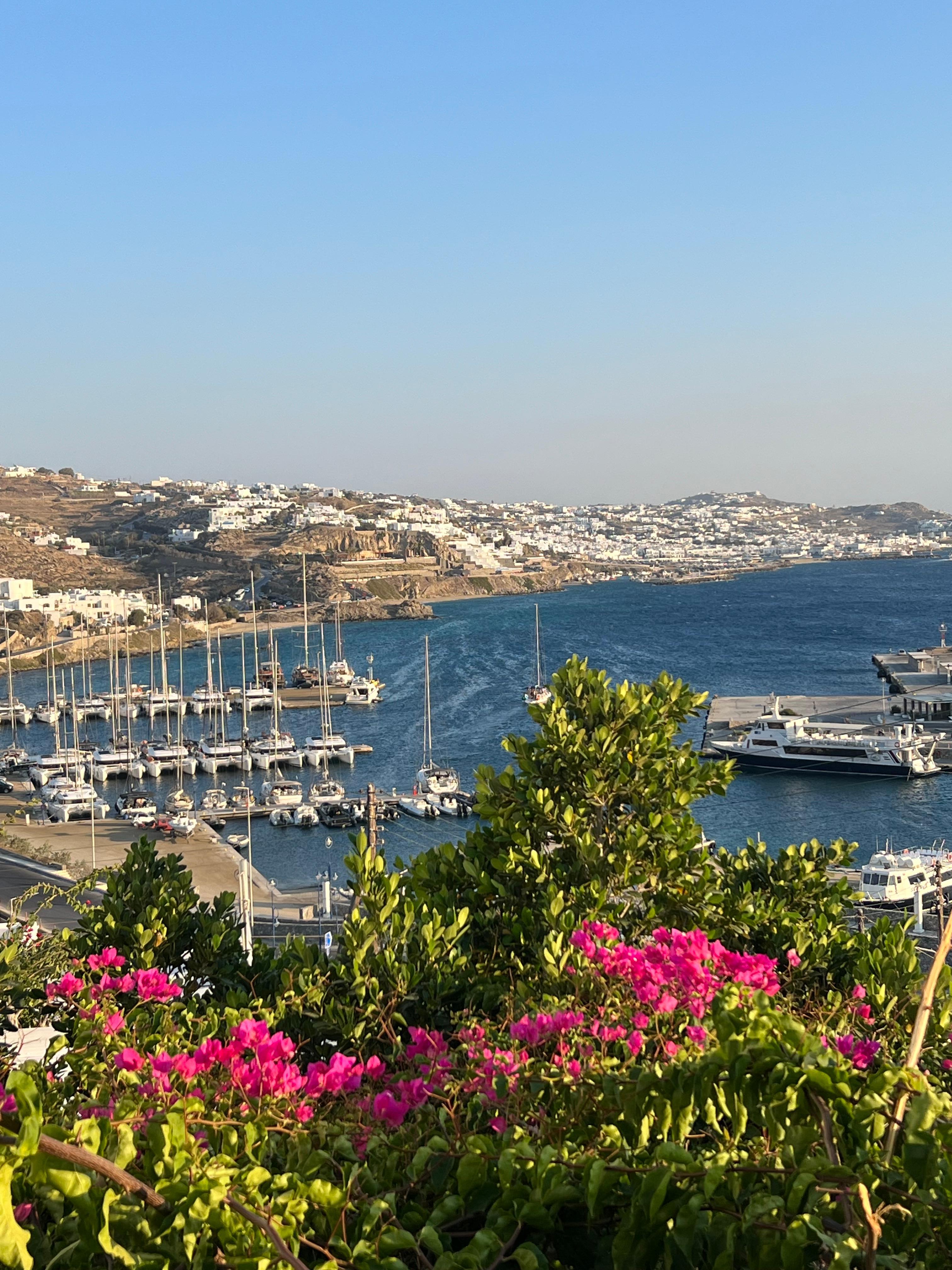 View of harbor from pool 