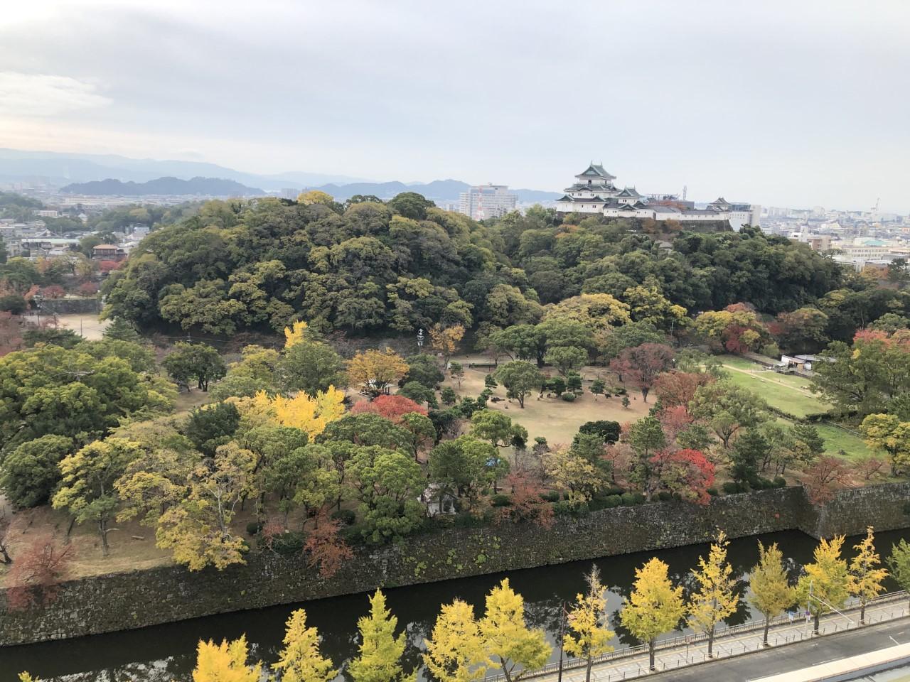 View of Wakayama Castle from the Daiwa Roynet Hotel