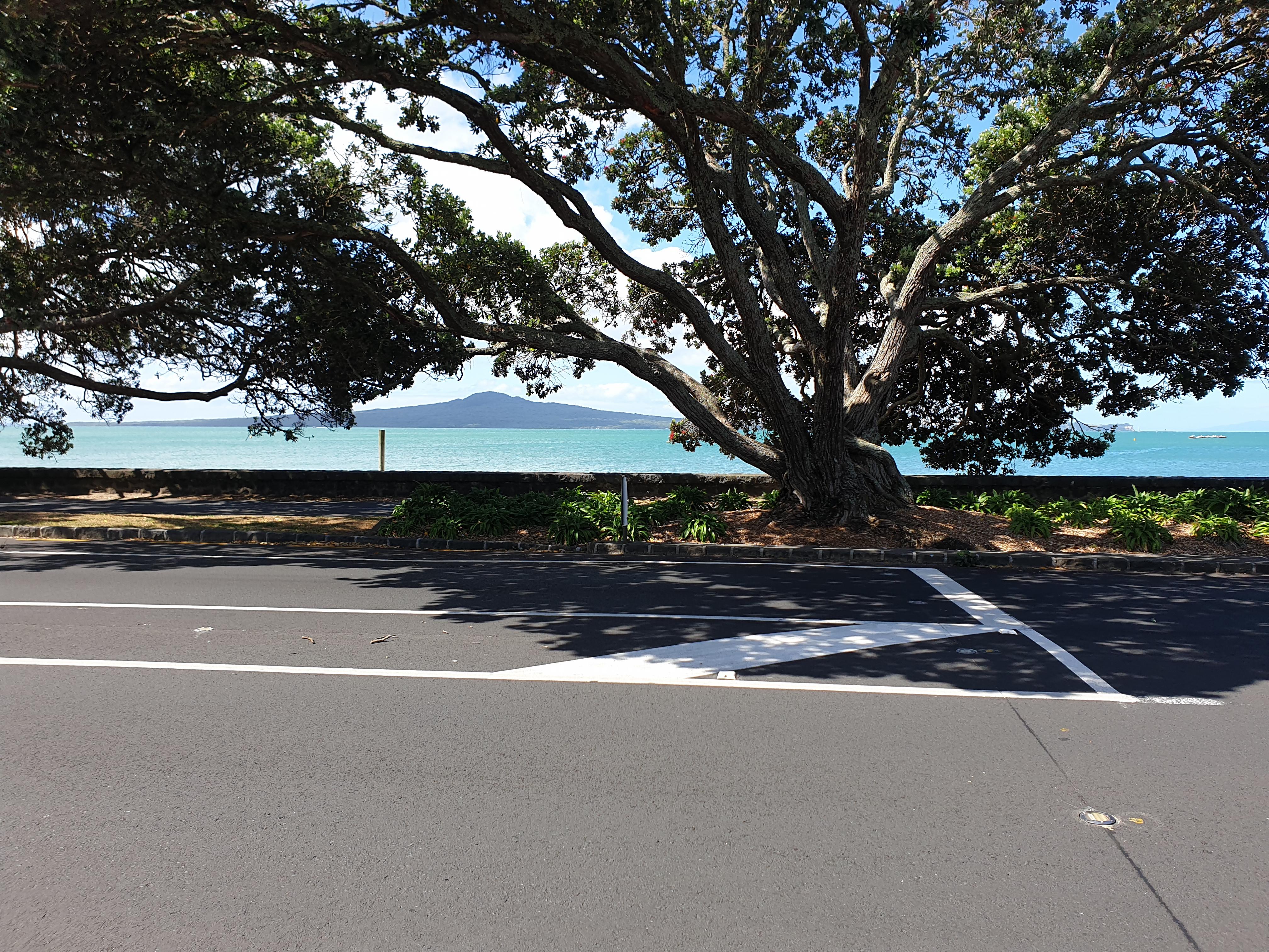 View from the Kohi Cafe .