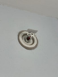 A ton of dust around the sprinkler head.