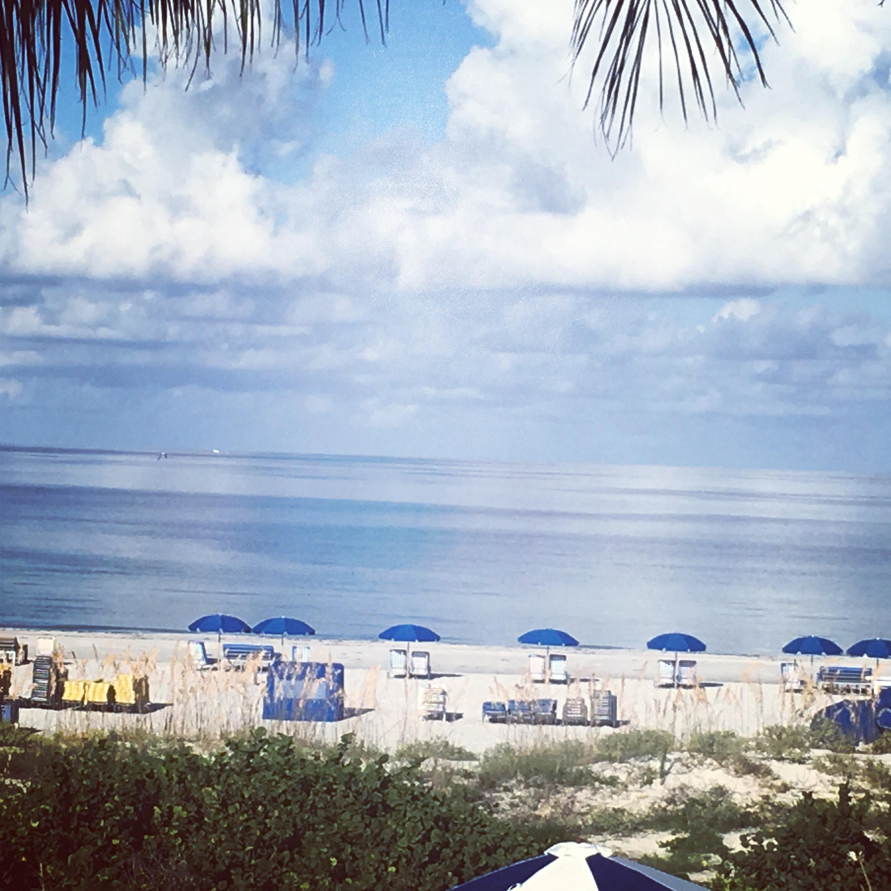 Our view!