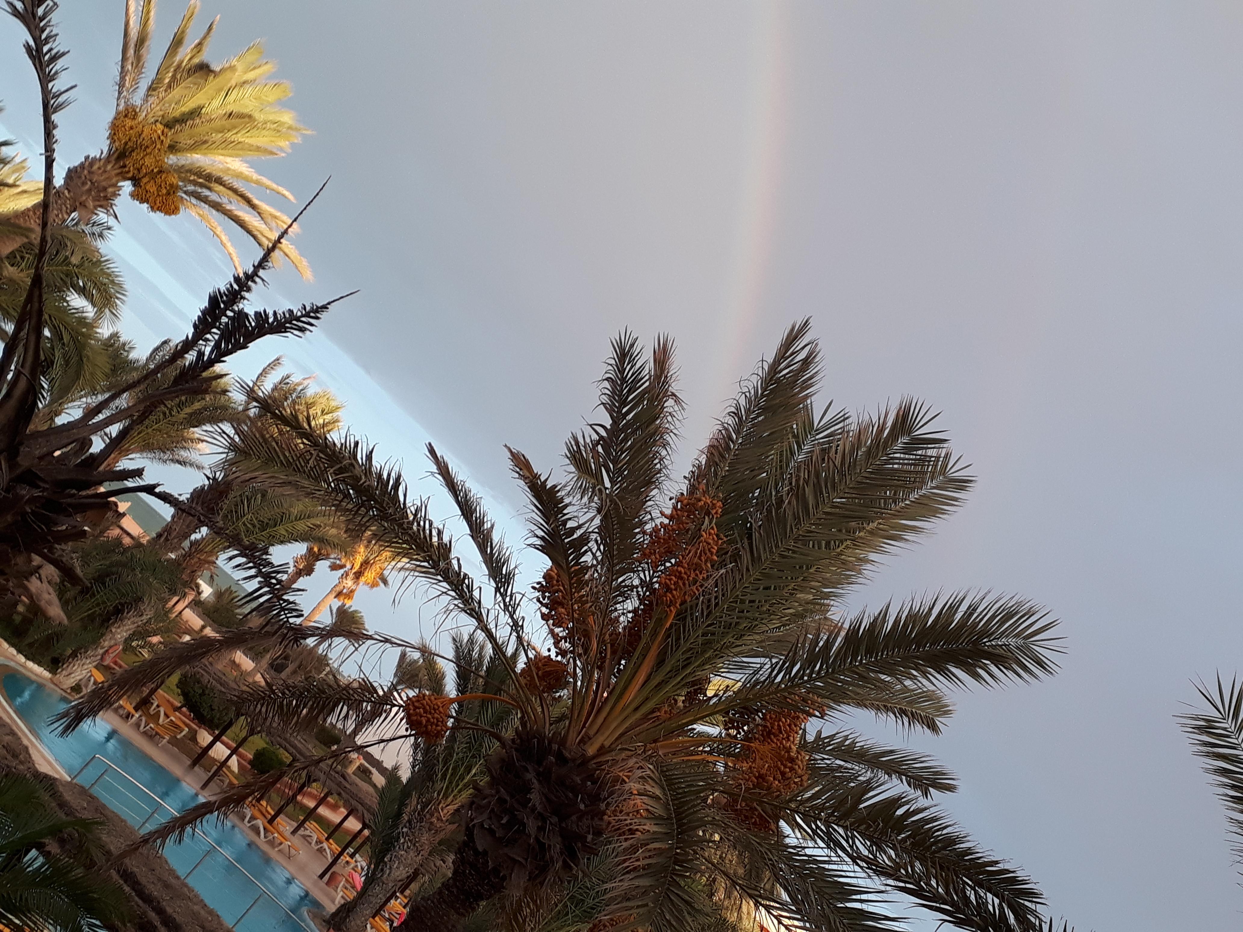 vue mer de la chambre sur l'arc en ciel, somptueux!