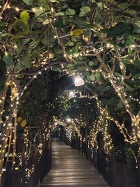 Gangen ned til restaurant og poolen