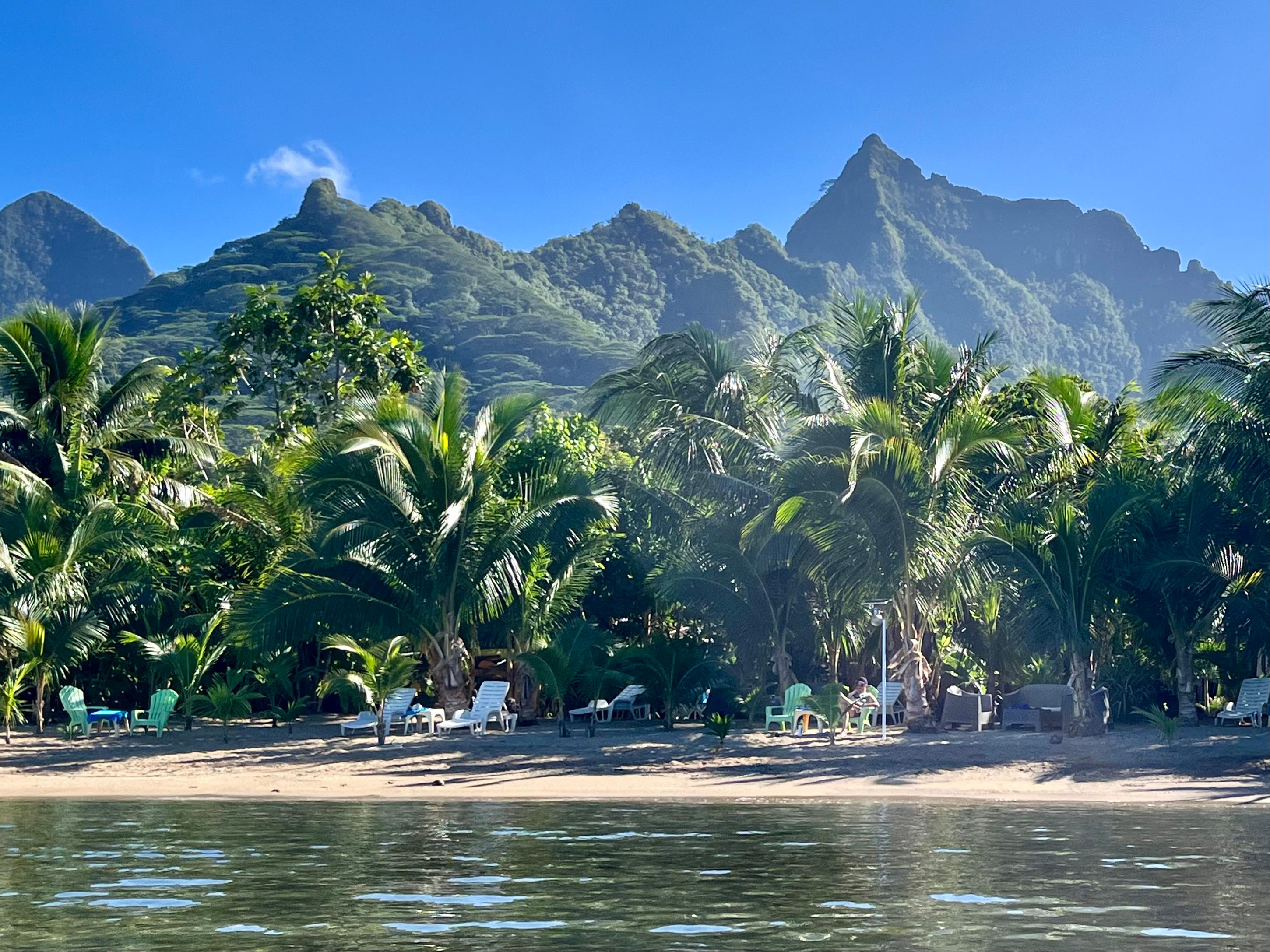 View from the kayak