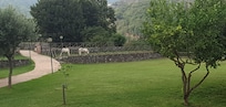 Villapiana
