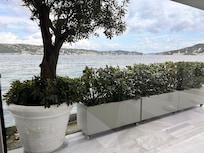 The view from the restaurant