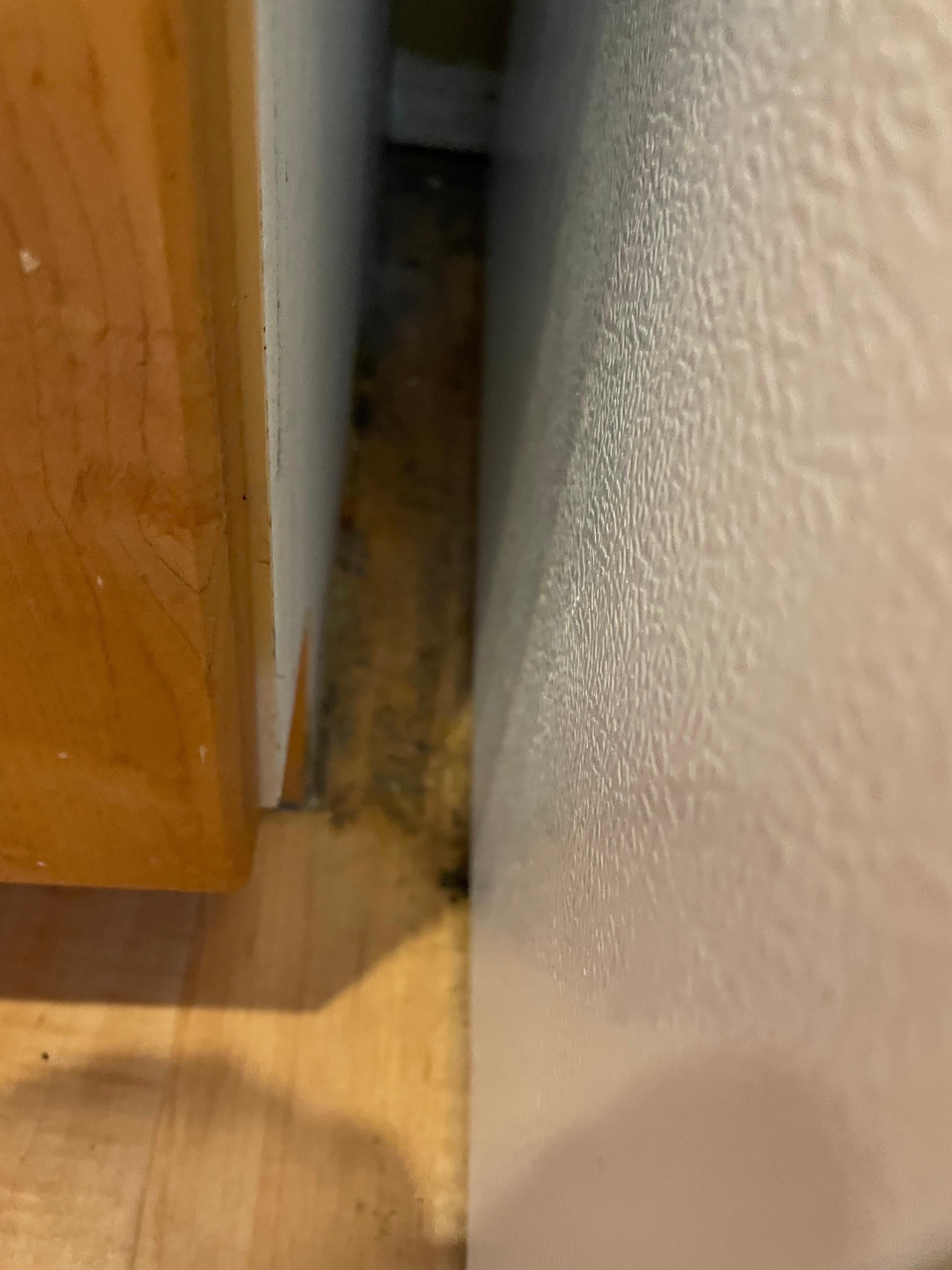 Between fridge and cupboard