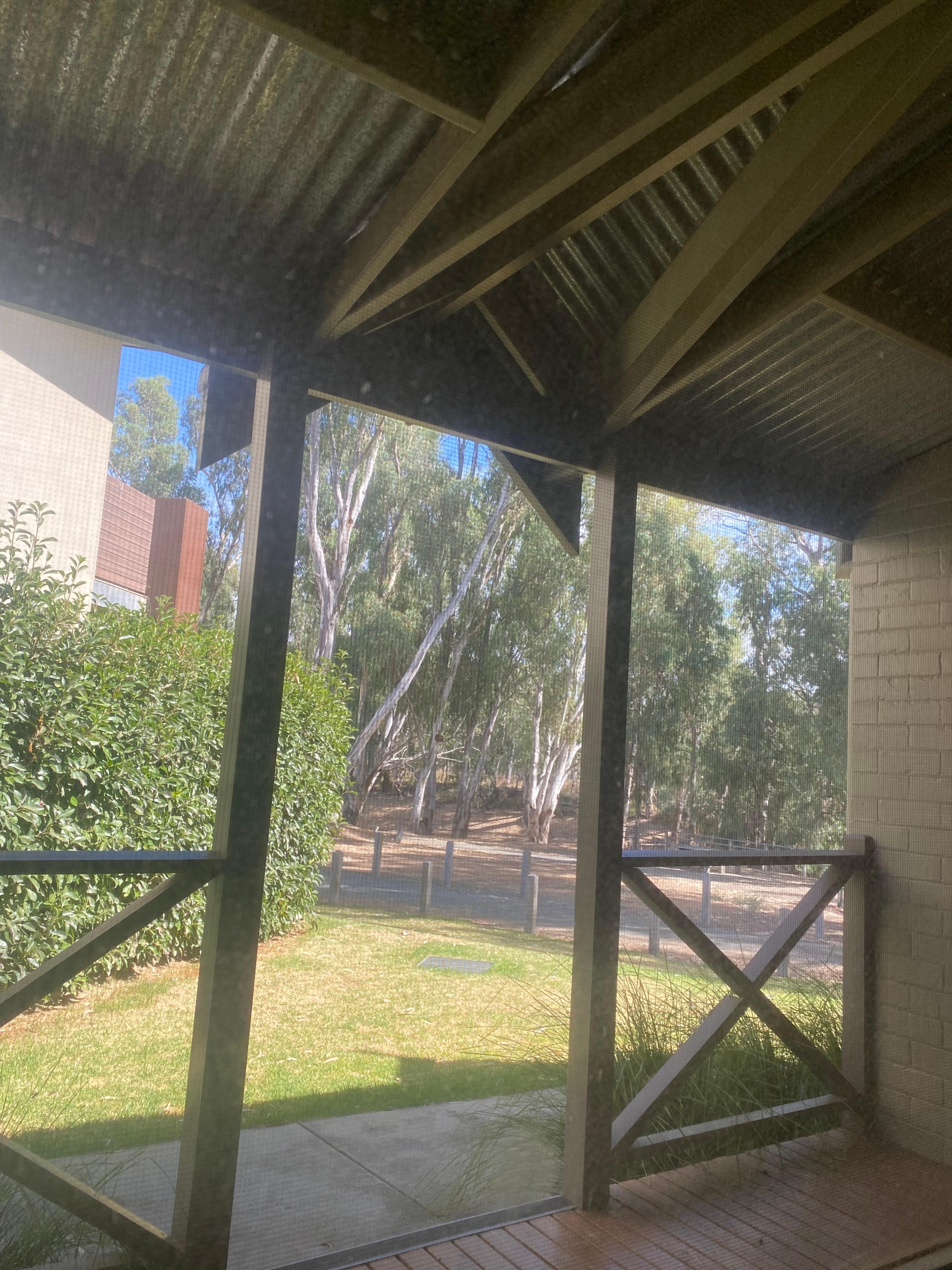 Afternoon on veranda 