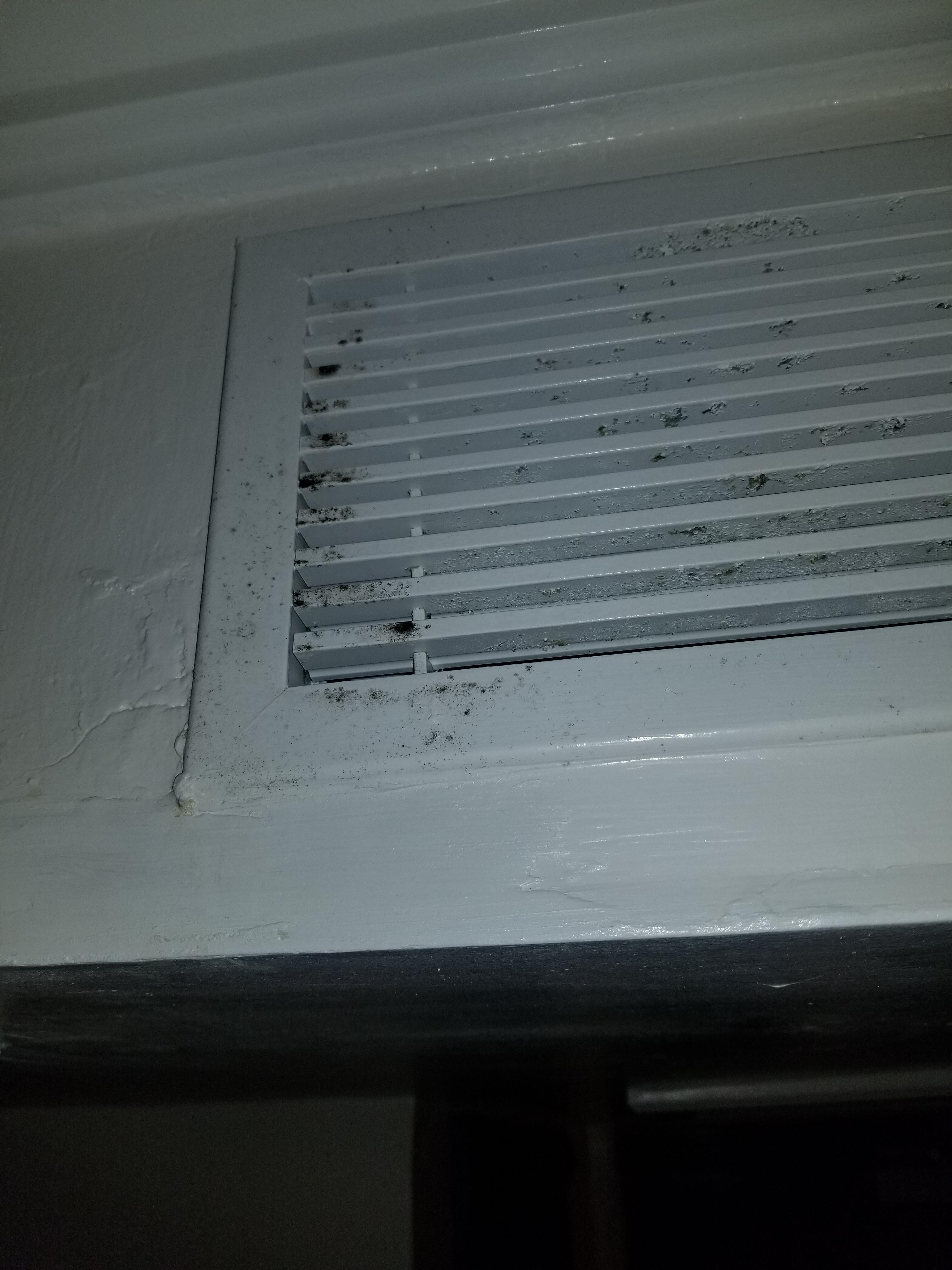 Mold on air vent