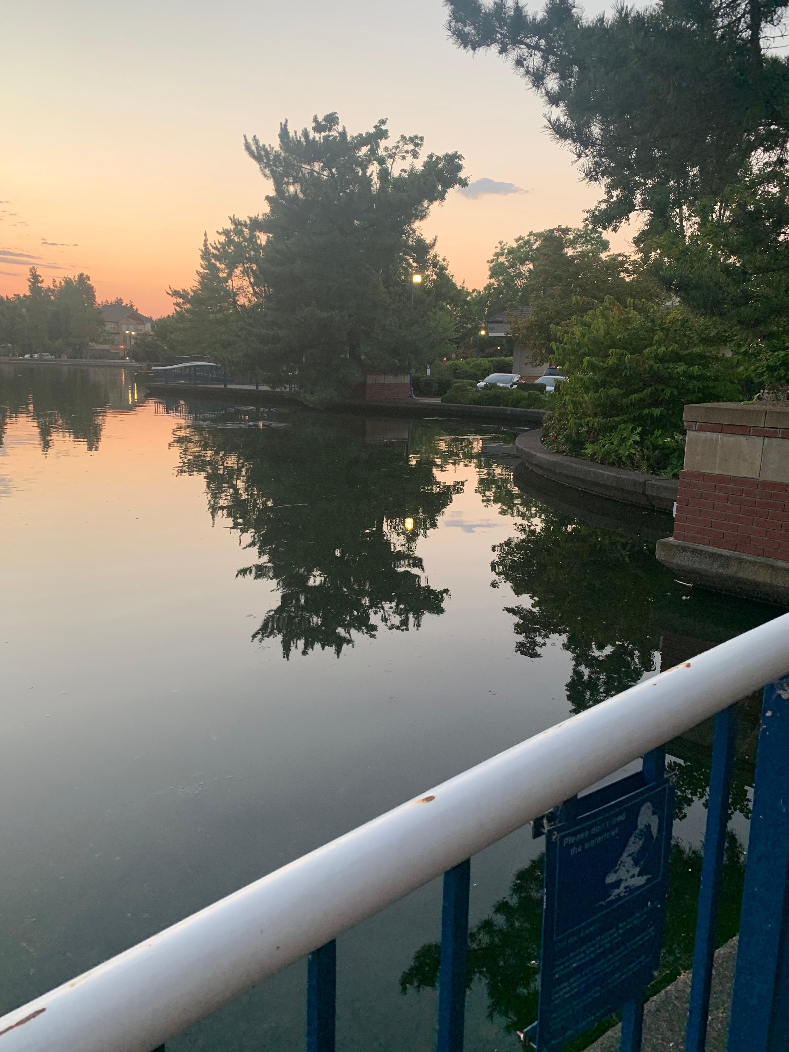 Lake